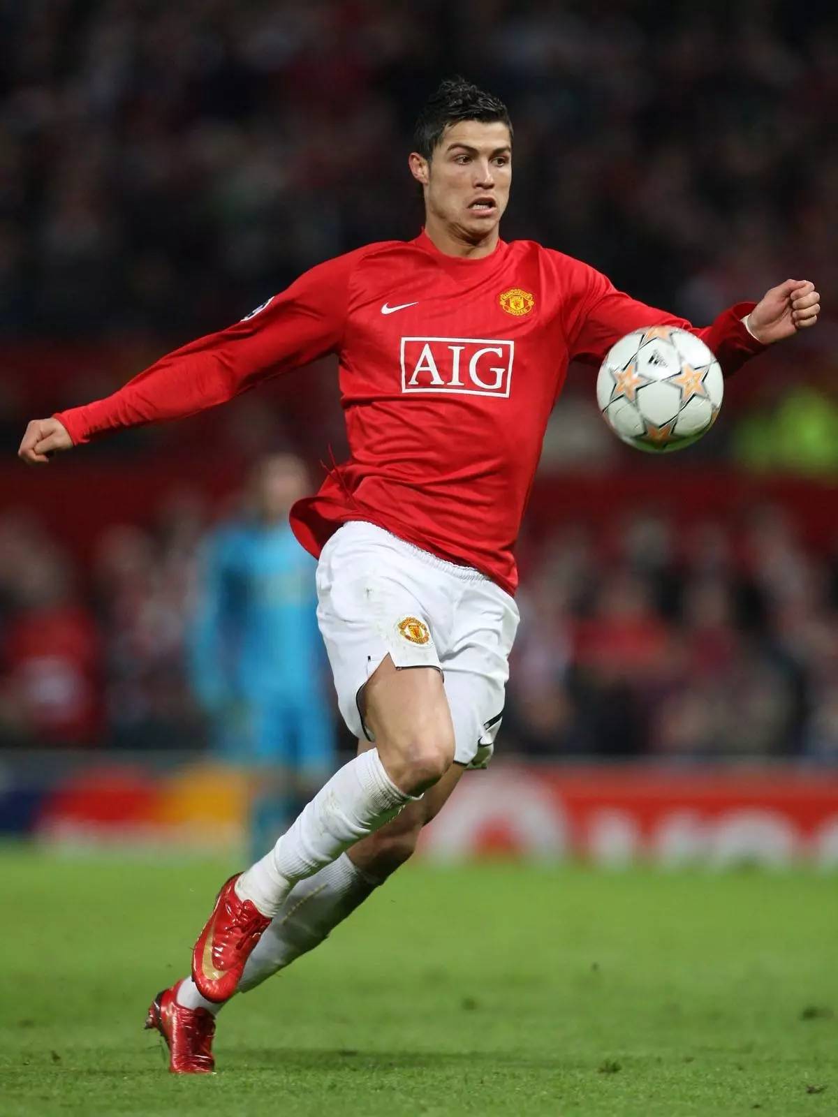 在选拔过程 在选拔过程