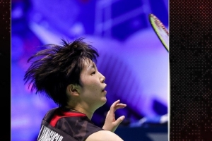 卓越的羽毛 卓越的羽毛