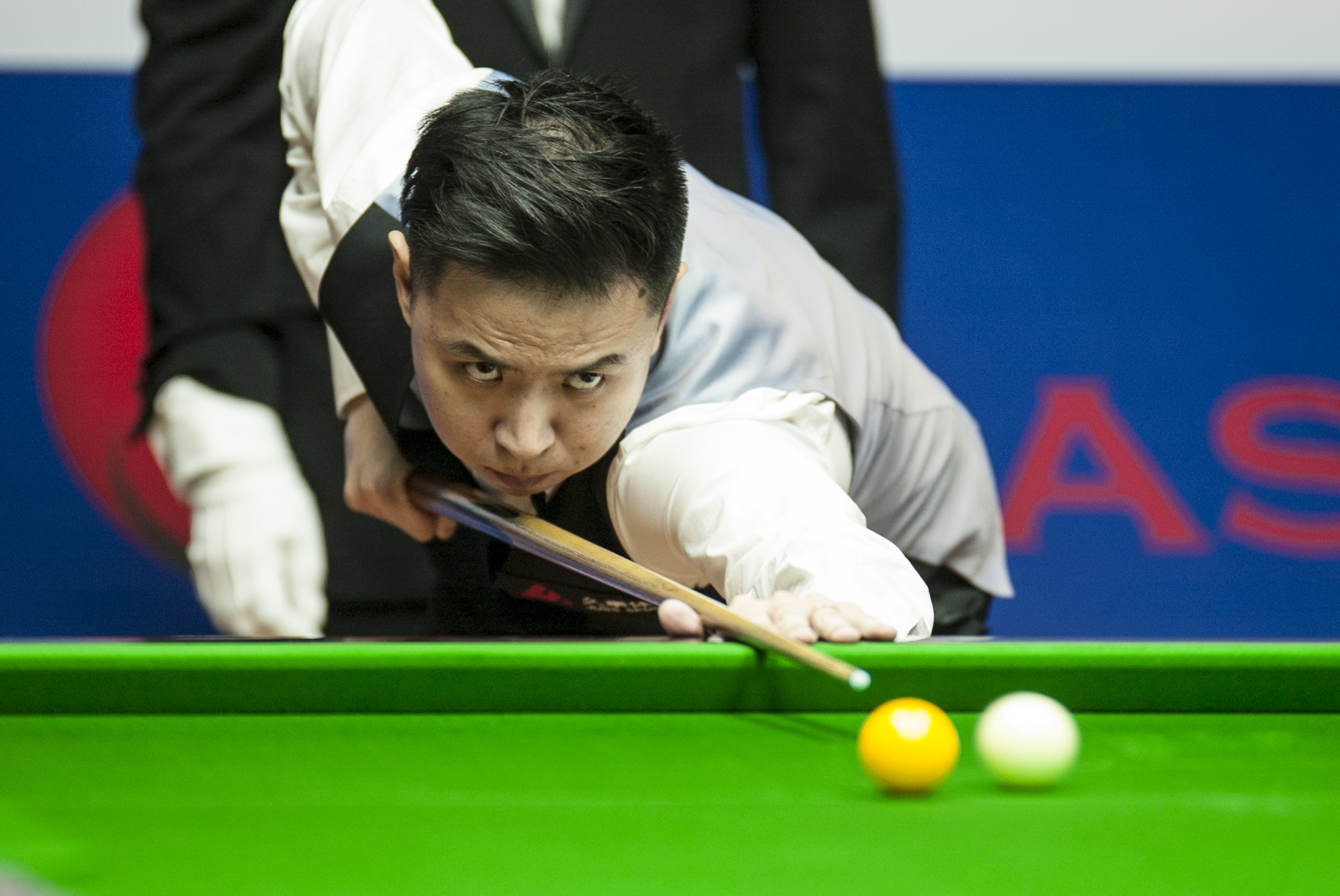 这一体系的 这一体系的