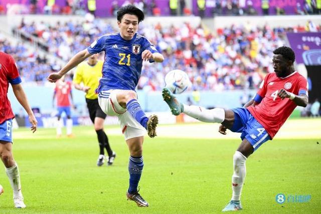 的职业生涯 的职业生涯